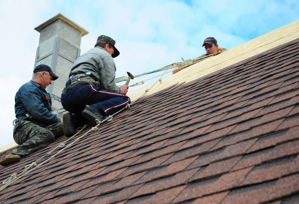 Quick and Trustworthy Emergency Roof Repair Services in Harrisville, PA