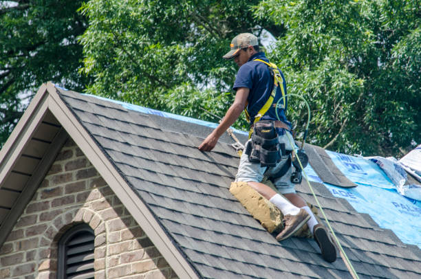 Best Shingle Roofing Installation  in Harrisville, PA